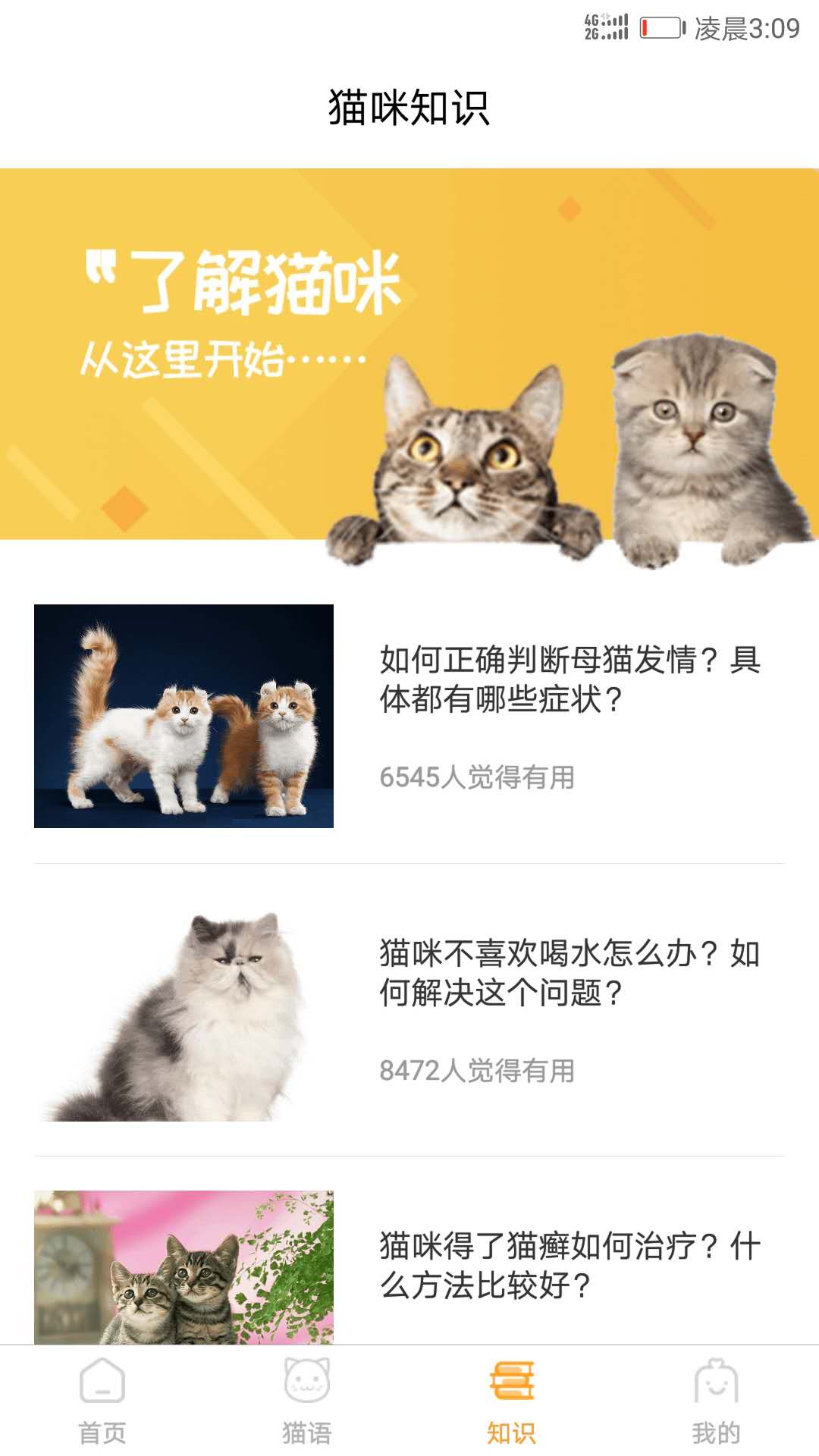 猫咪翻译器